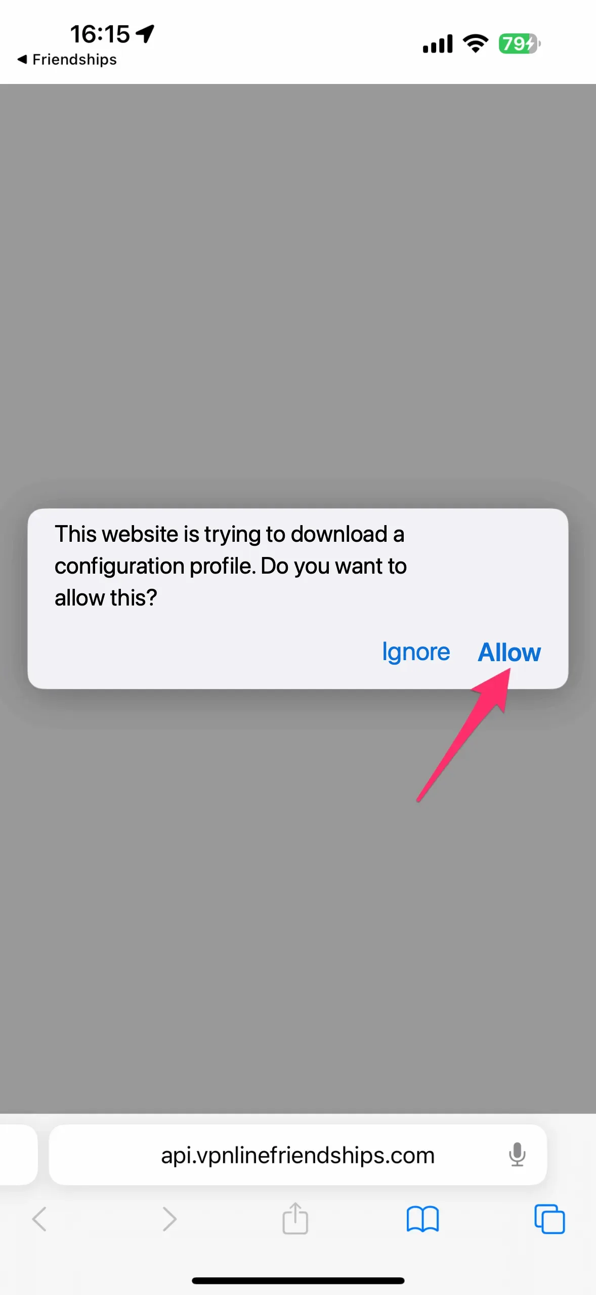 After switching to Safari, tap Allow
