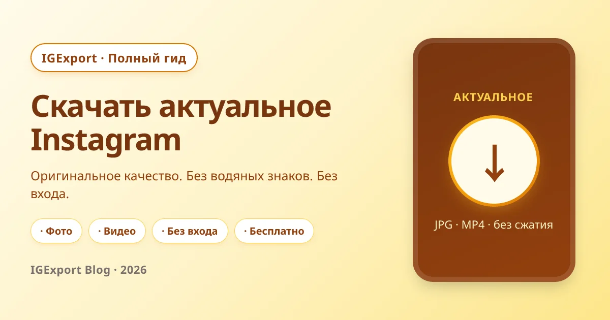 Как скачать актуальное из Instagram — полное руководство с IGExport