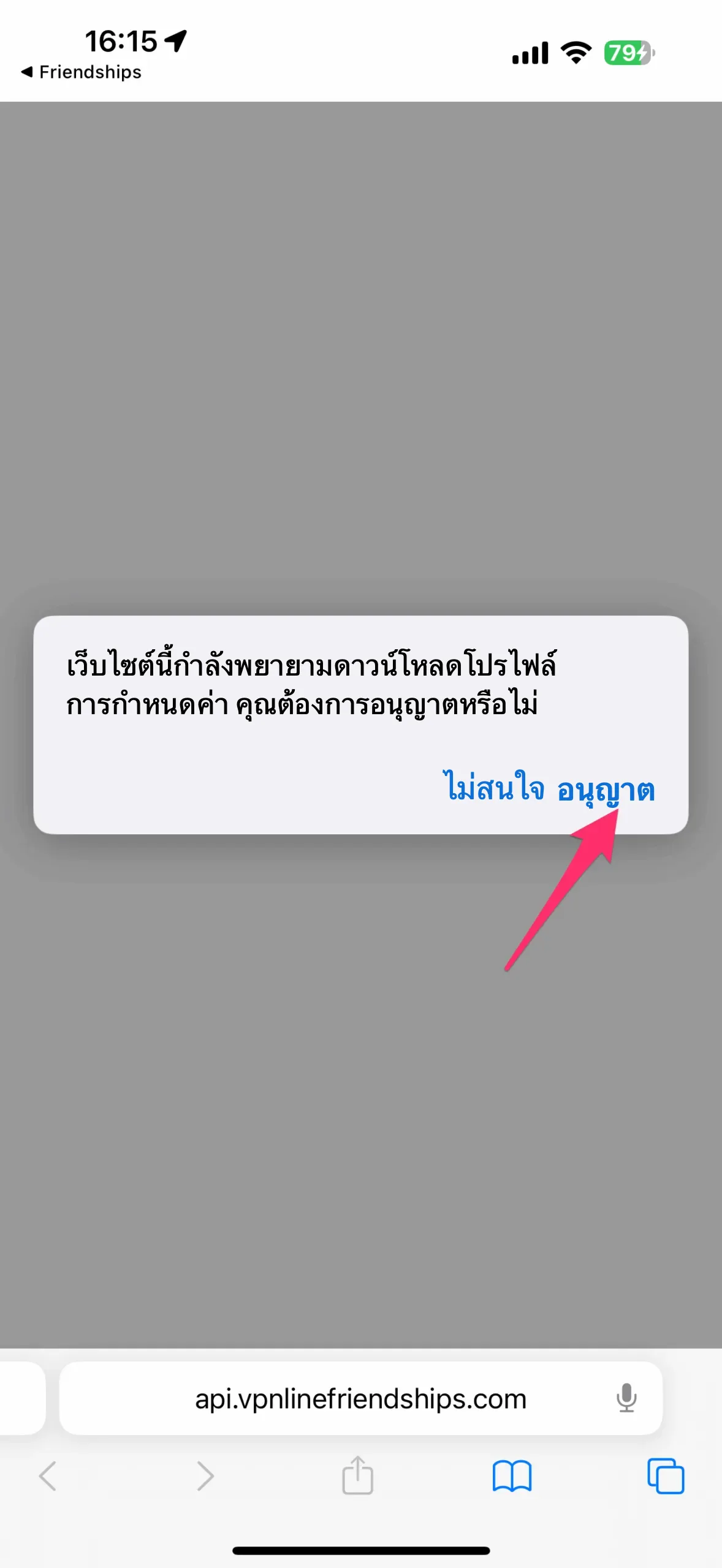เมื่อสลับไปที่ Safari แล้ว ให้แตะอนุญาต