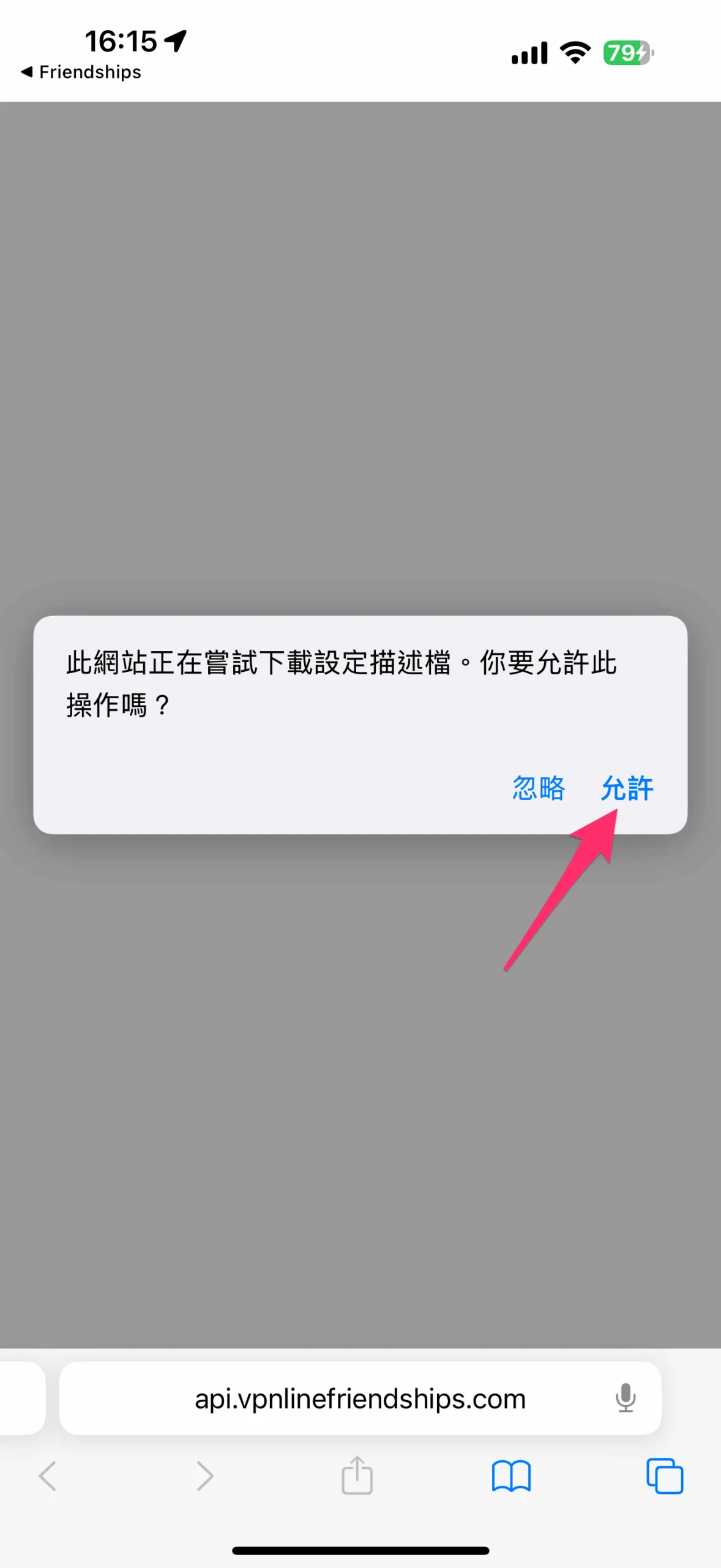 跳到 Safari 之後，選擇允許